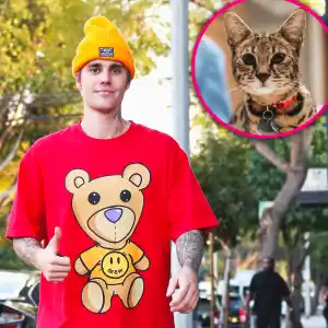 Sandra Lee Finds Justin Bieber’s Missing Cat Sushi 3 Weeks After It's Disappearance