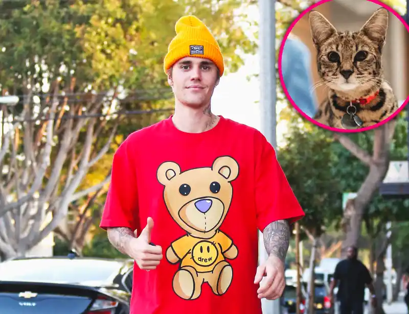 Sandra Lee Finds Justin Bieber’s Missing Cat Sushi 3 Weeks After It's Disappearance