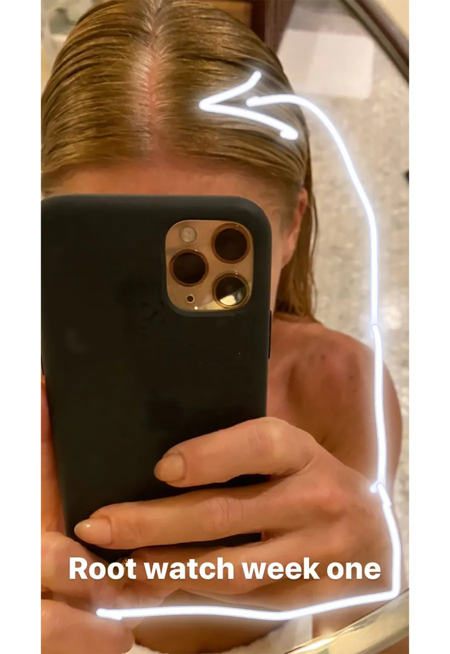 Celebs Get Real About Their Natural Hair Colors Amid COVID-19 Outbreak