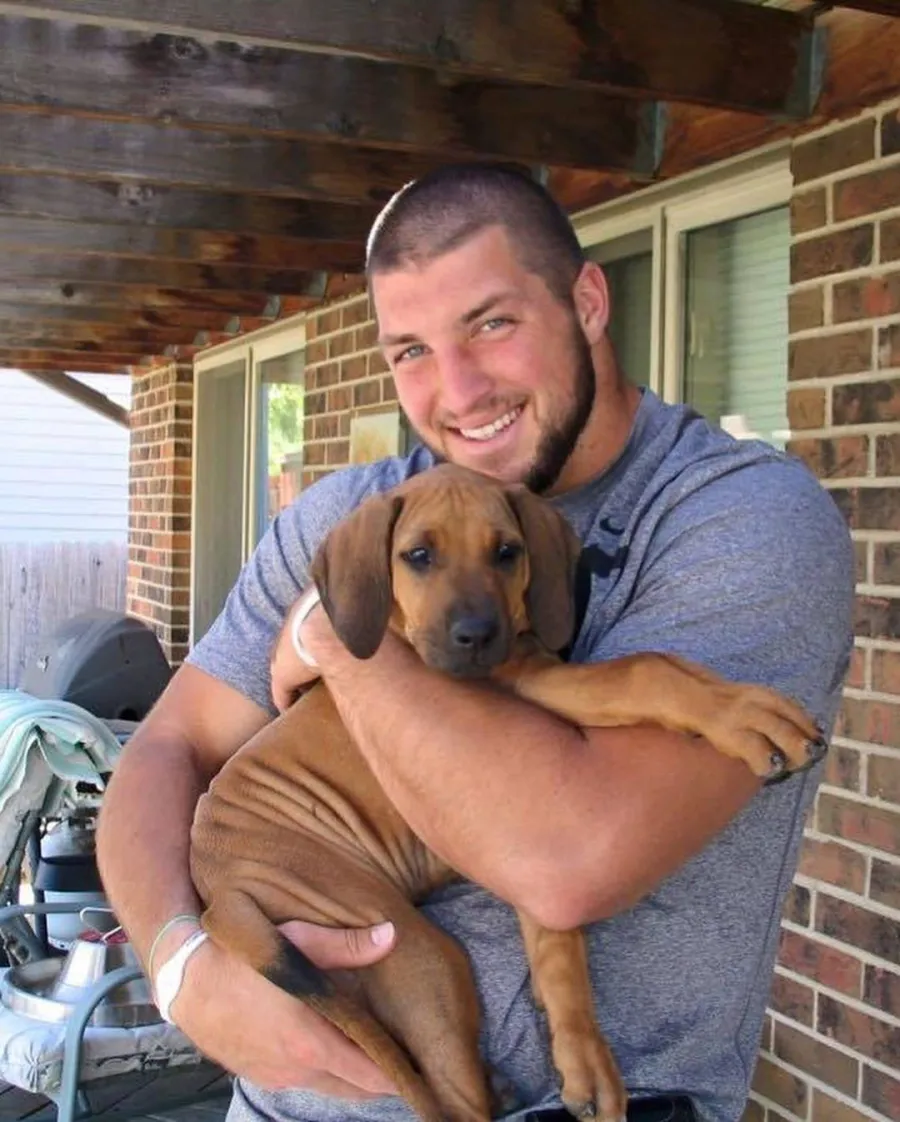 Bronco Tim Tebow and Demi-Leigh Nel-Peters Welcome Three New Puppies