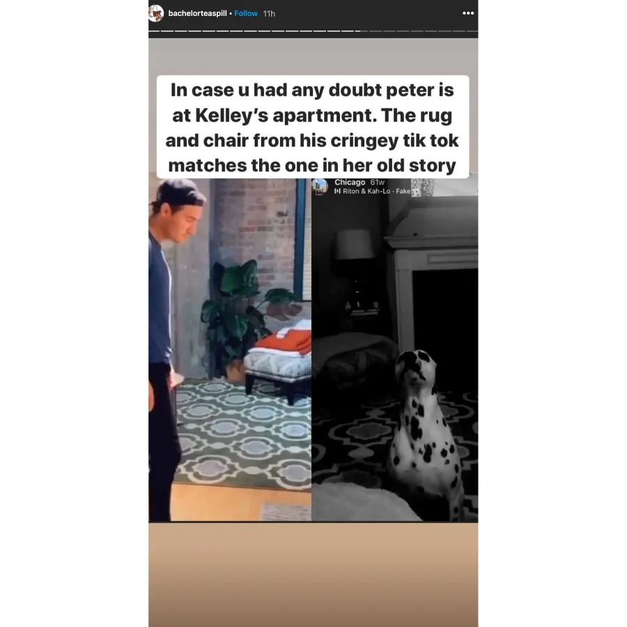 Peter Weber and Kelley Flanagan Spark Dating Rumors