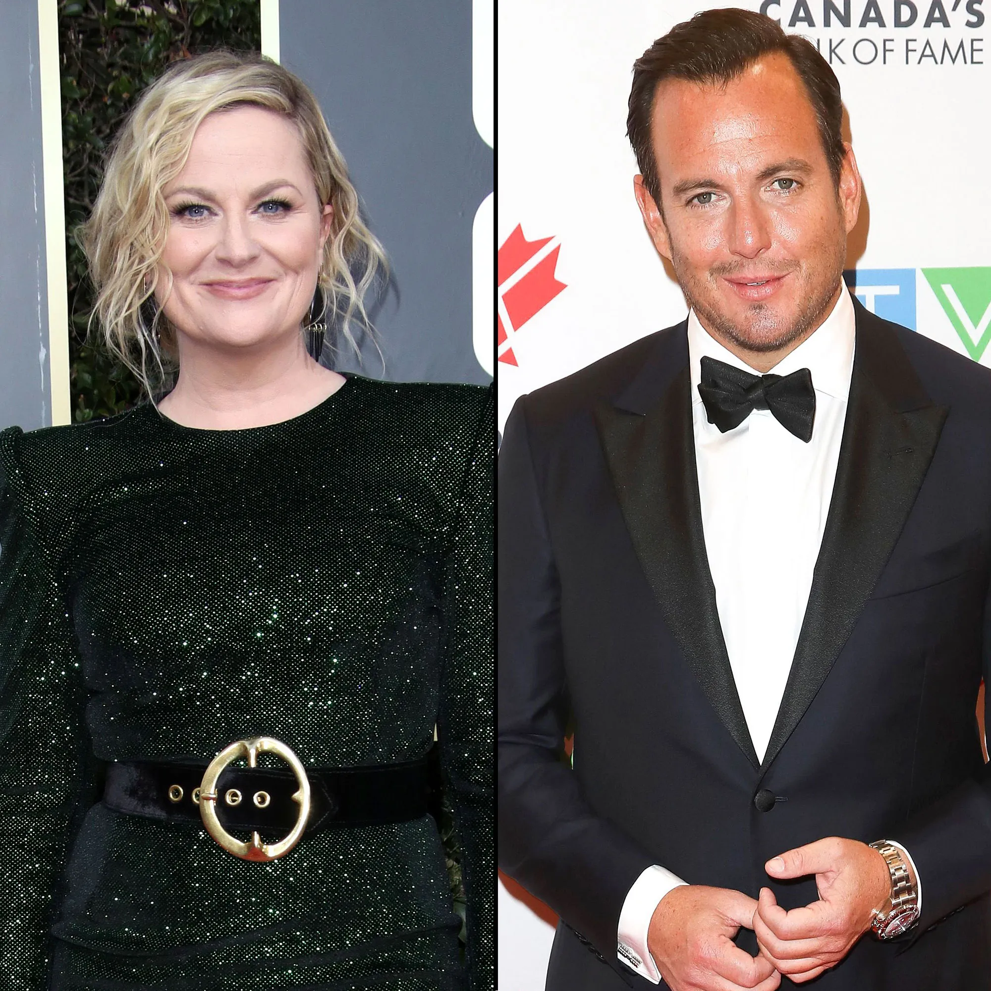 Amy Poehler Reunites With Ex Will Arnett for Coronavirus Relief Benefit