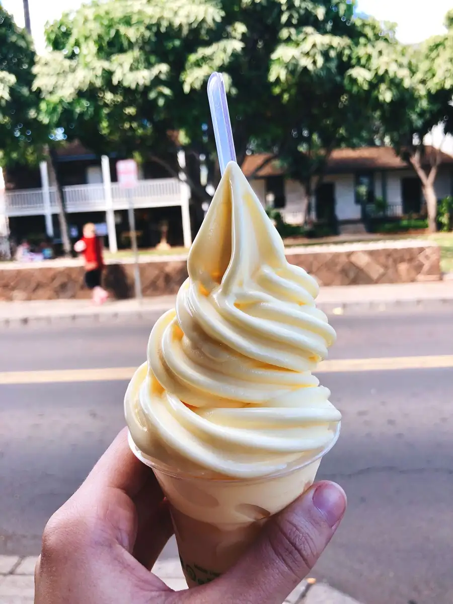 Dole Whip Disney Recipes