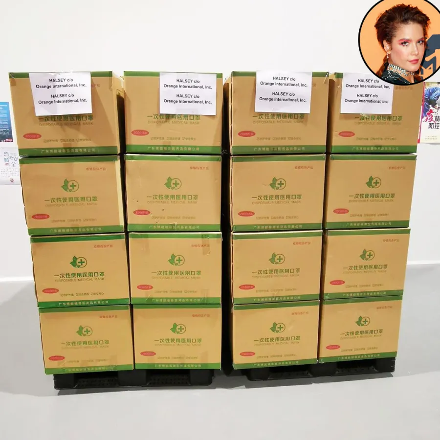 Halsey Stars Give Back During the Coronavirus Outbreak