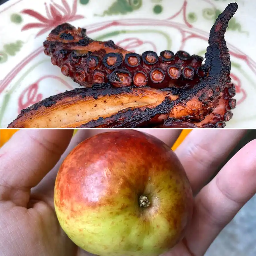 Inside Due Lipa Week in Self-Quarantine With BF Anwar Hadid