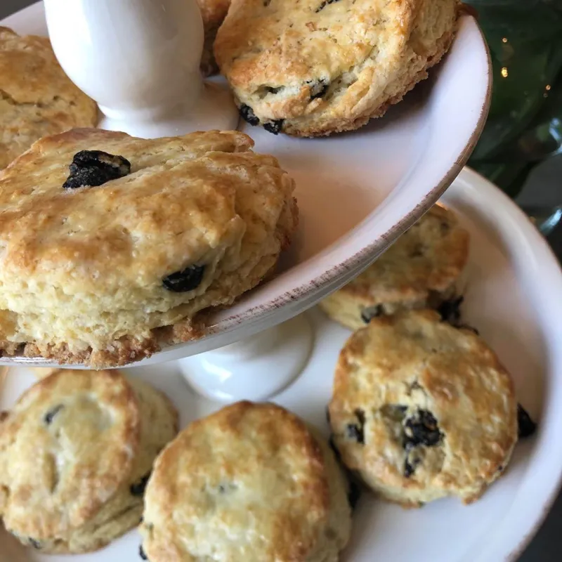 Jason Priestley and Naomi Lowde-Priestley Invite Prince Harry and Meghan Over For Tea Scones