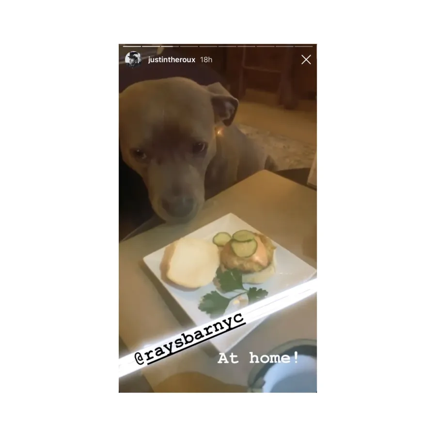 Justin Theroux Hosts Quarantine Disco Night Dinner With Dog Kuma