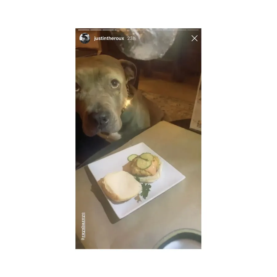 Justin Theroux Hosts Quarantine Disco Night Dinner With Dog Kuma