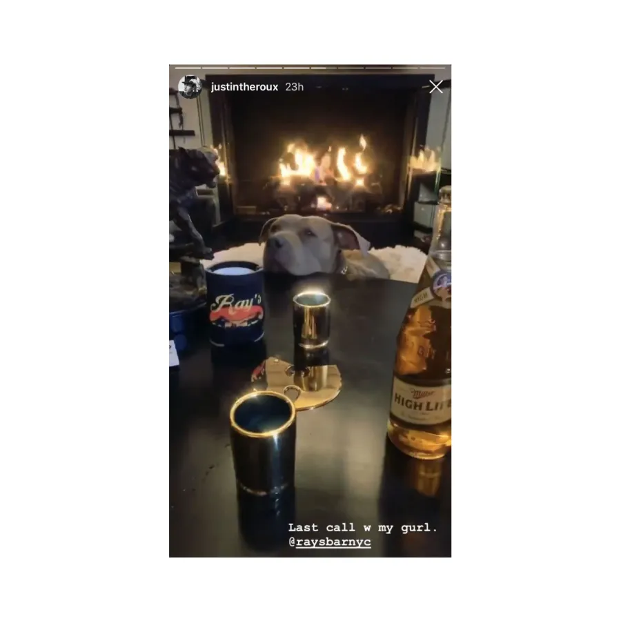 Justin Theroux Hosts Quarantine Disco Night Dinner With Dog Kuma