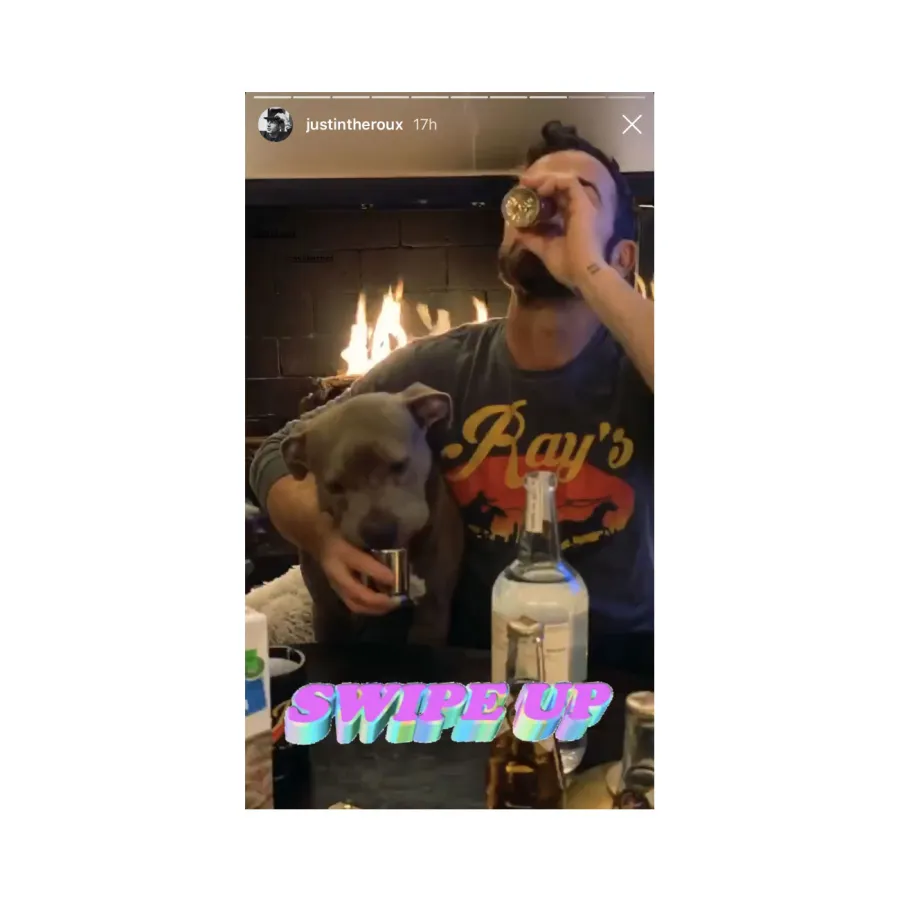 Justin Theroux Hosts Quarantine Disco Night Dinner With Dog Kuma