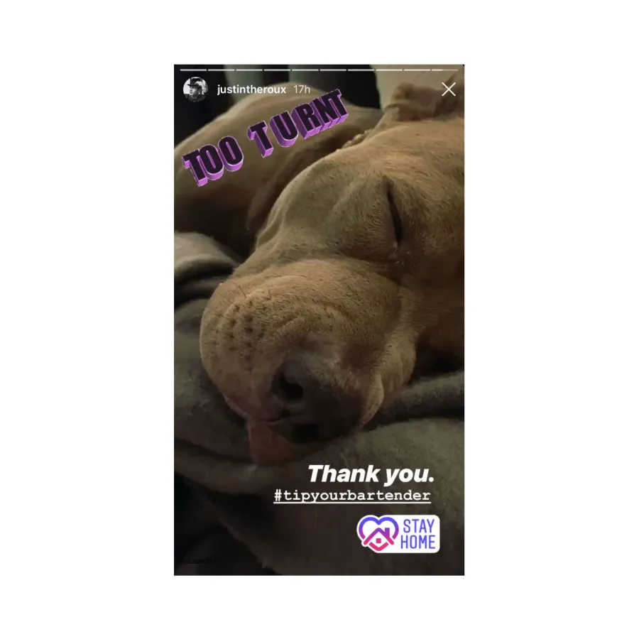 Justin Theroux Hosts Quarantine Disco Night Dinner With Dog Kuma