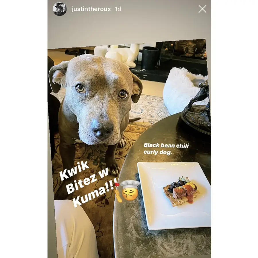 Justin Theroux Meals With His Dog
