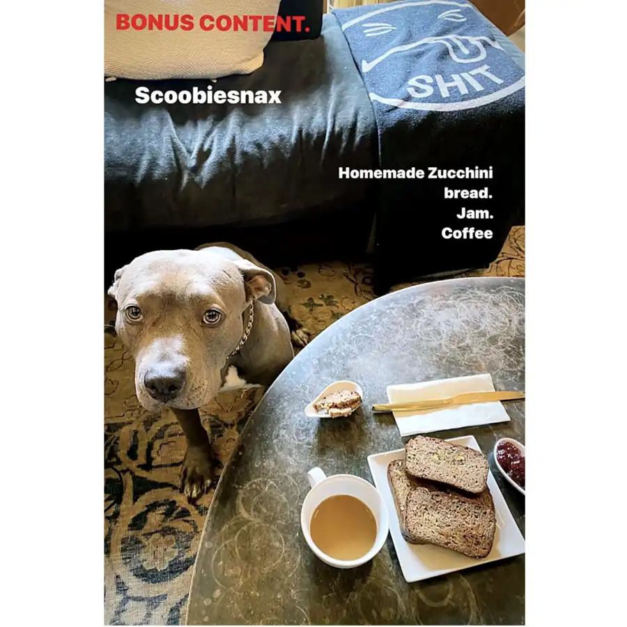 Justin-Theroux-Meals-With-Kuma-003