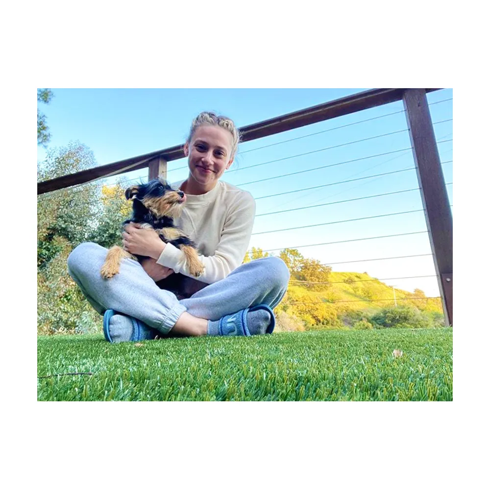 Lili Reinhart's Dog Milo Undergoes Surgery After 'Horrifying' Attack