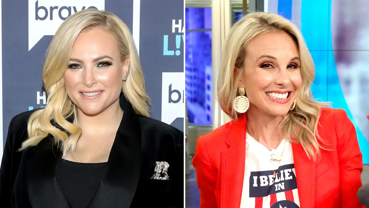 Meghan McCain Slams Elisabeth Hasselbeck's Coronavirus Comments on 'The View'