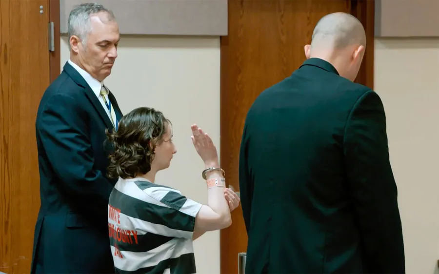 Mommy Dead and Dearest Documentaries to Stream Just as Good as Tiger King