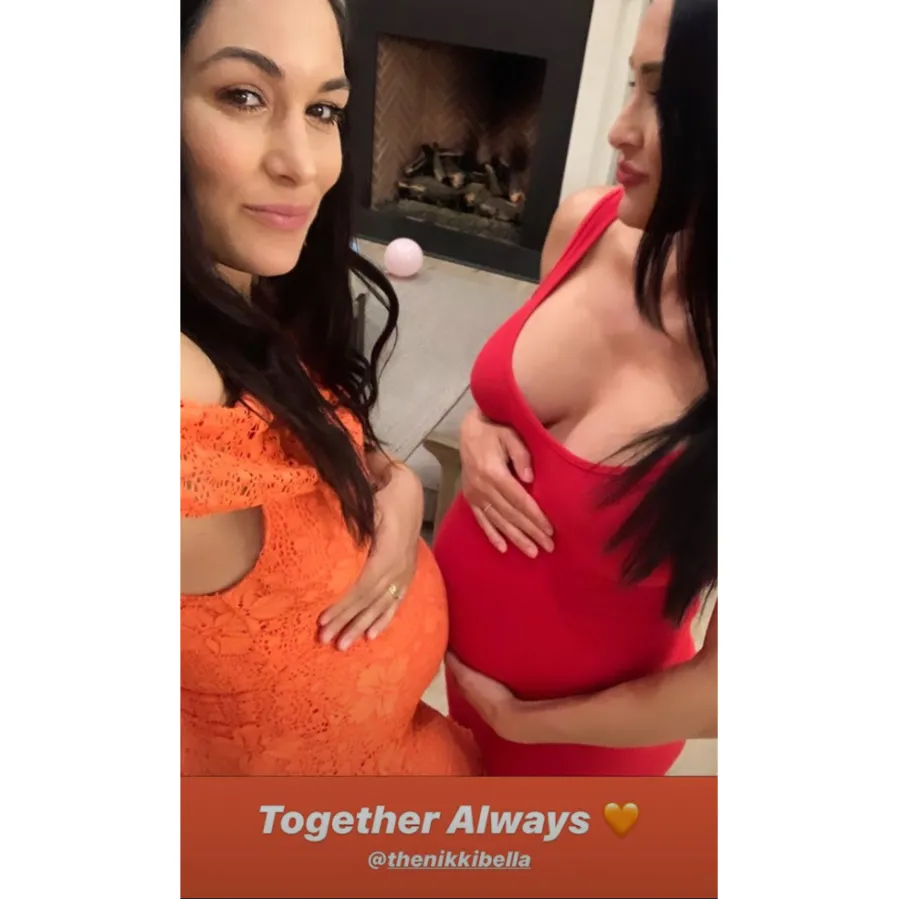 Nikki Brie Bella baby bump cradle