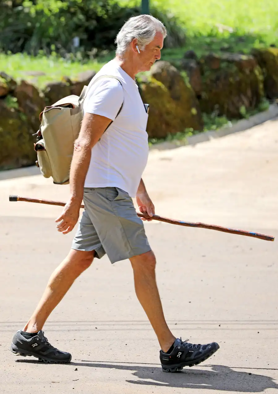 Pierce Brosnan Almost Looks Unrecognizable on Solo Hike Hawaii
