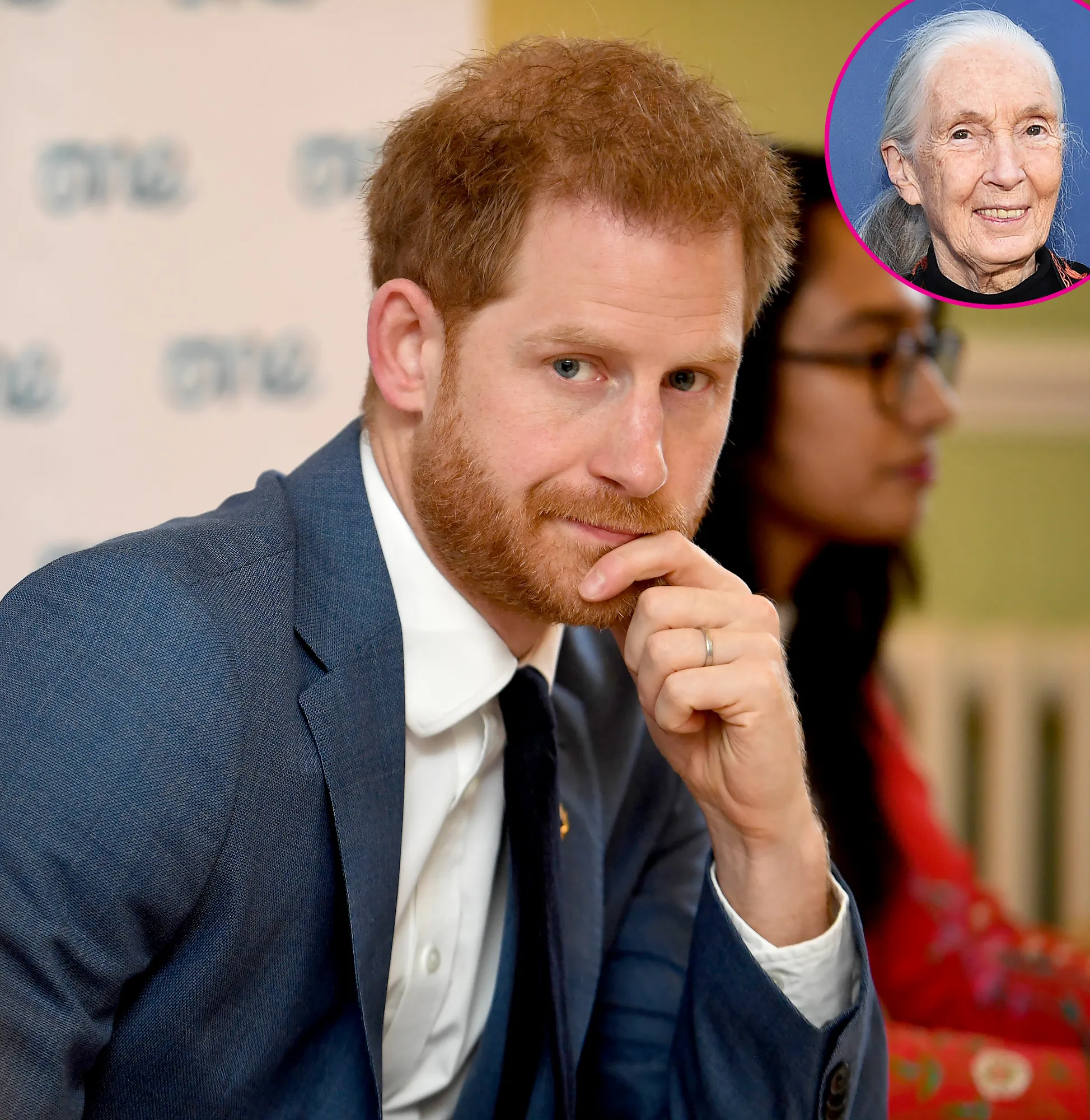 Prince Harry Is Finding Life a Bit Challenging in Los Angeles Jane Goodall