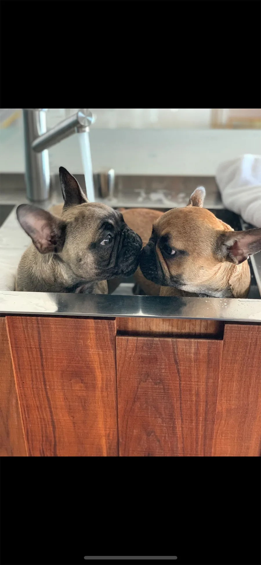 Real Housewives of Beverly Hills Teddi Mellencamp Healthy Day