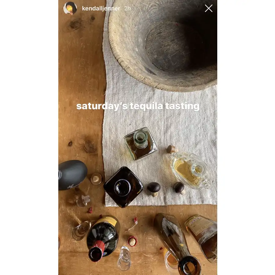 Kendall Jenner Stars Staying Busy Kitchen Amid Coronavirus