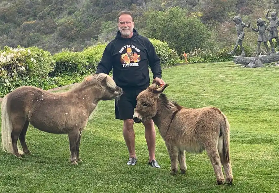 Stars Wearing Quarantine/Social-Distancing Approved Clothing