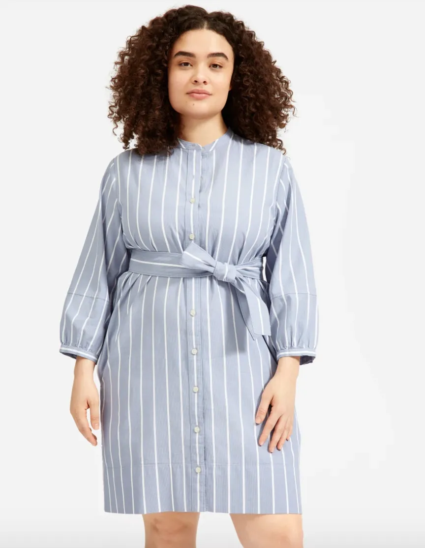 The Cotton Weave Collarless Shirtdress (Blue : White Wide Stripe)