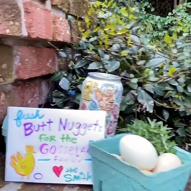 Tiffani Thiessen Gives Former Saved by the Bell Costar Mark-Paul Gosselaar Eggs From Her Chicken Coop