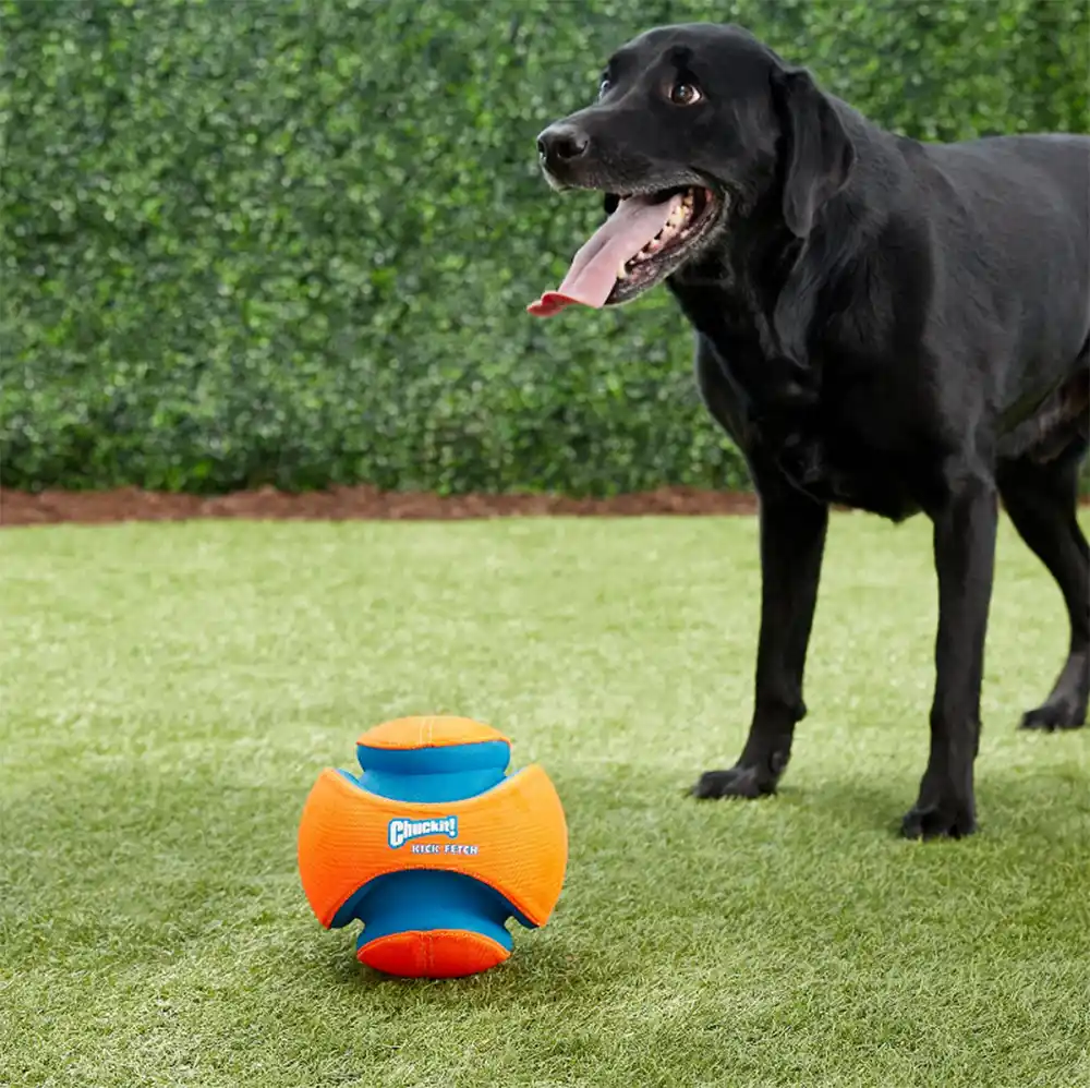 chewy-chuckit-ball