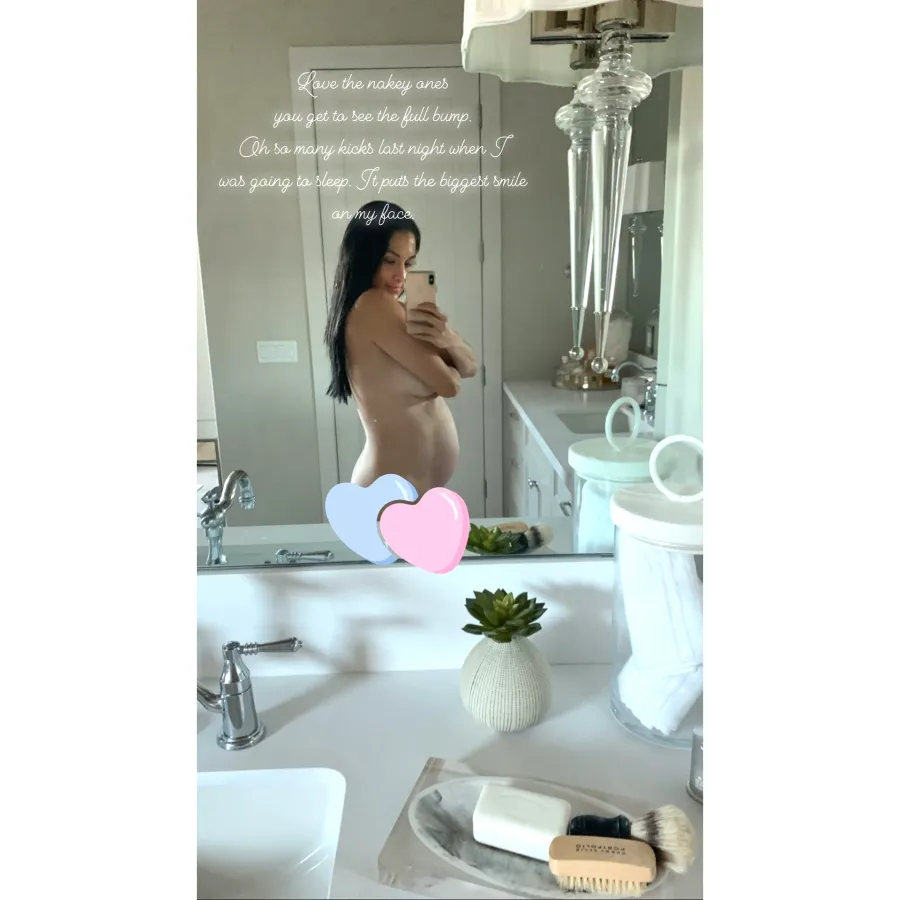 Nikki Bella and Brie Bella’s Baby Bump Album
