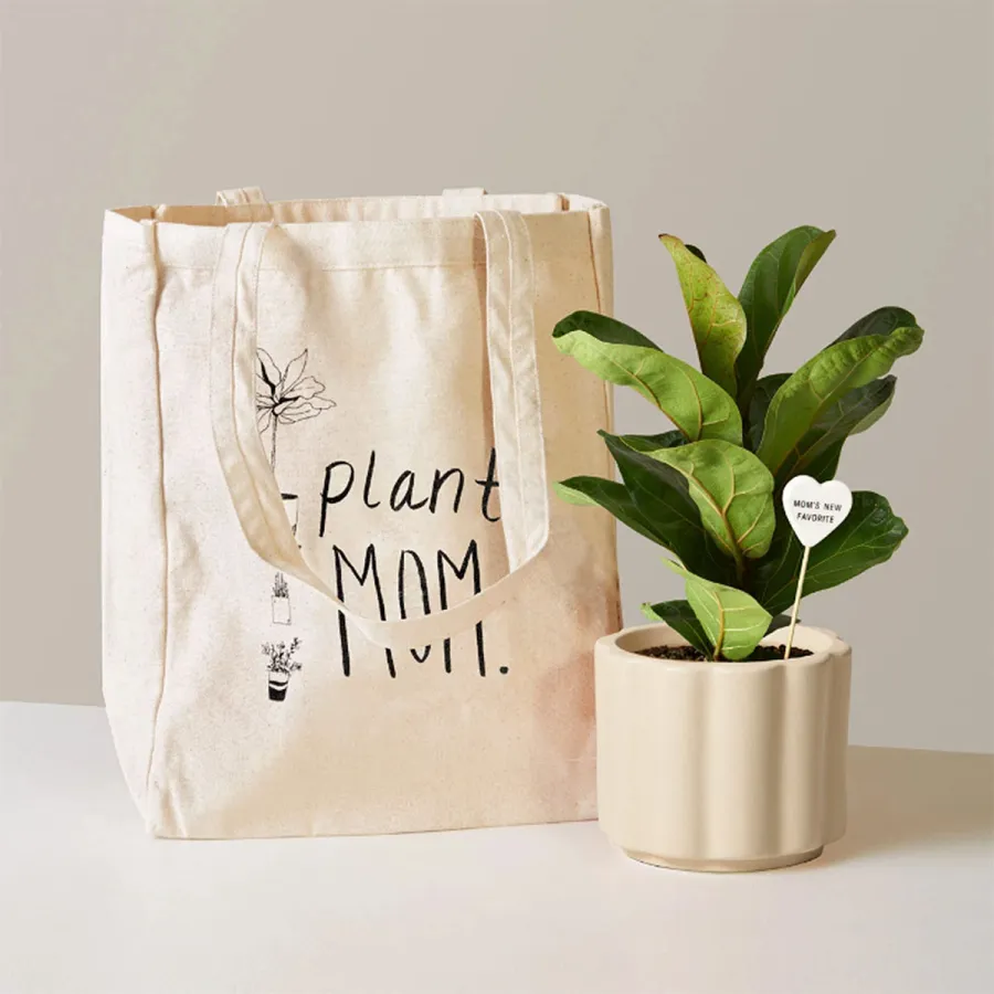plant-mom-set