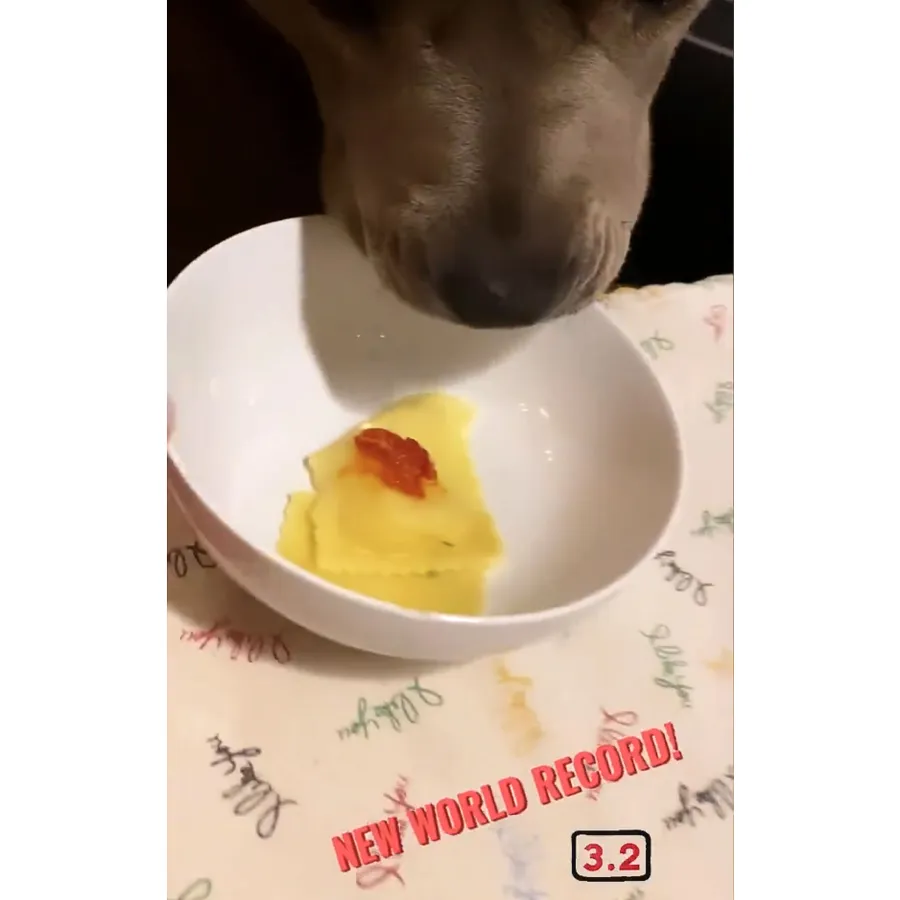 A Ravioli Record Justin Theroux Dog