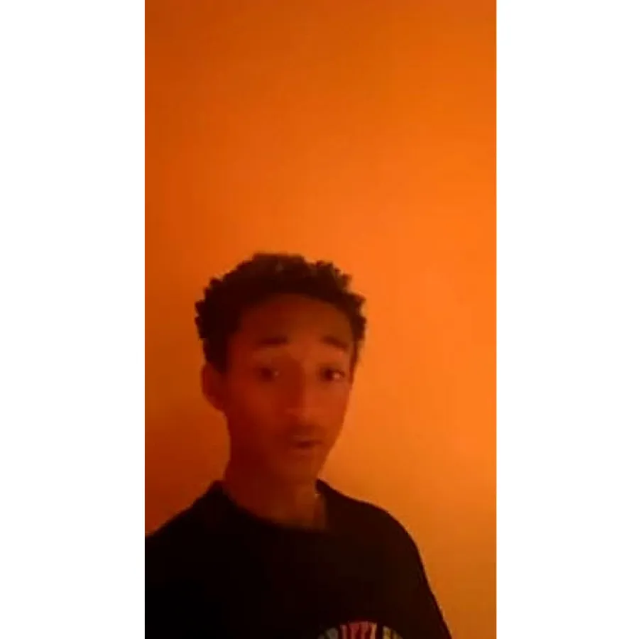 Jaden Smith All the Celebrity Cameos Justin Ariana Stuck With U Music Video