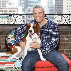 Andy Cohen Says He Rehomed His Rescue Dog Wacha Because of 'Aggression'