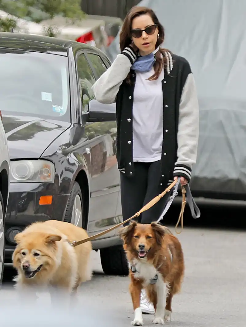 Aubrey Plaza dog walking