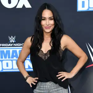 Brie Bella WWE 20th Anniversary 25 Things