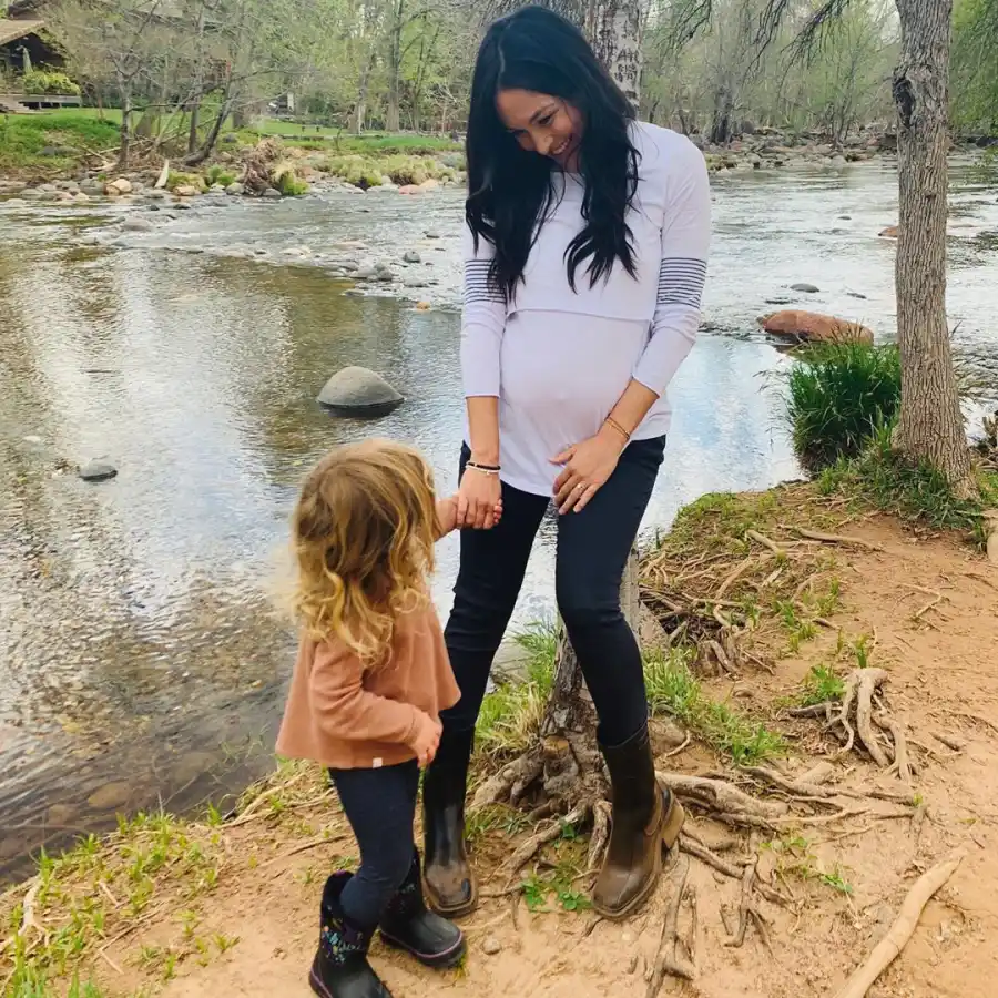 Brie Bella baby bump