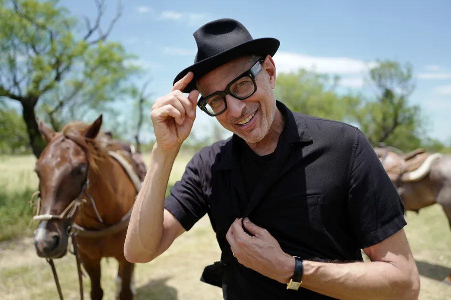 Celebrities on Children's TV Shows Streaming Now