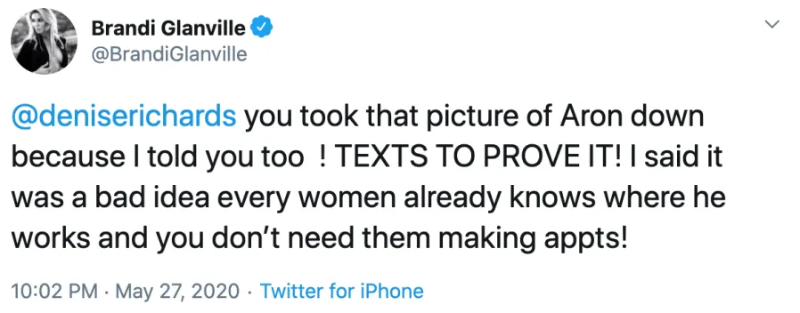 Denise Richards Responds to RHOBH Criticism