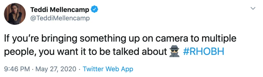 Denise Richards Responds to RHOBH Criticism