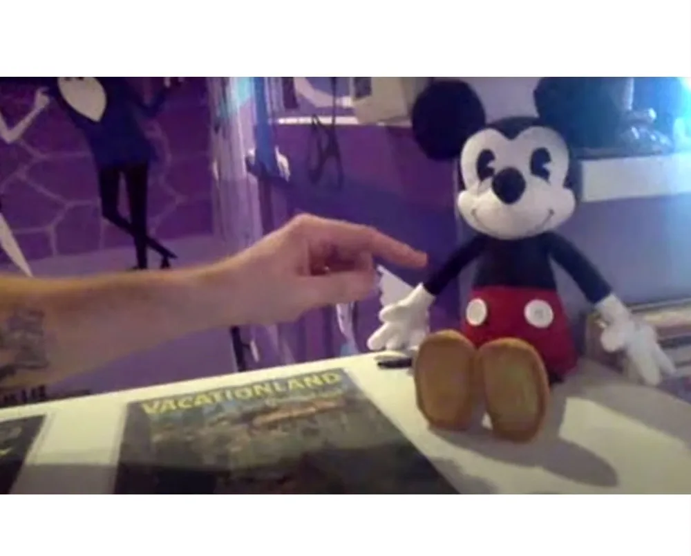 Drake Bell House Is Disneyland-Themed