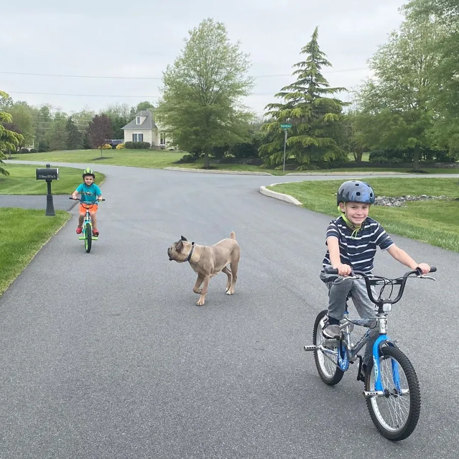 Kailyn Lowry homeschooling