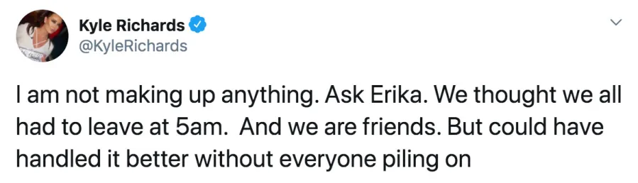 Kyle Richards Accuses Denise Richards of Staging Scenes on The Real Housewives of Beverly Hills