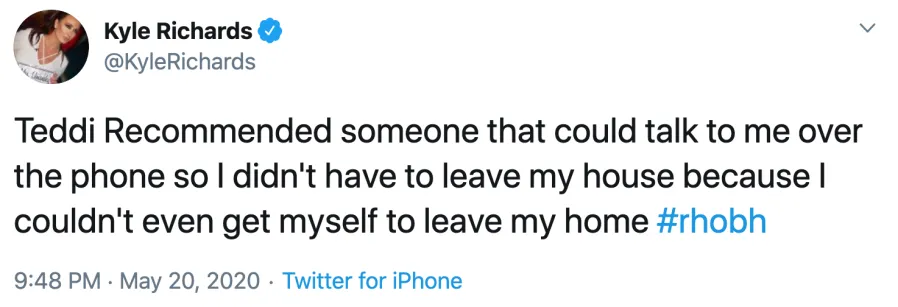 Kyle Richards Reacts After Garcelle Beauvais and Denise Richards Slam Her