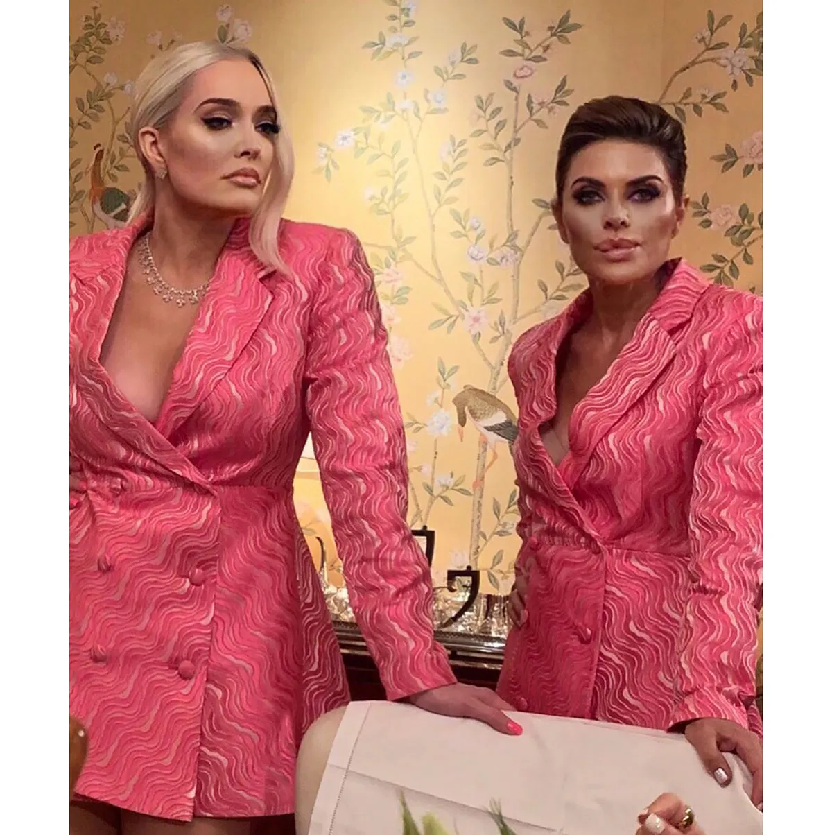 Lisa Rinna and Erika Jayne Wore the Exact Same Look at the Same Time!