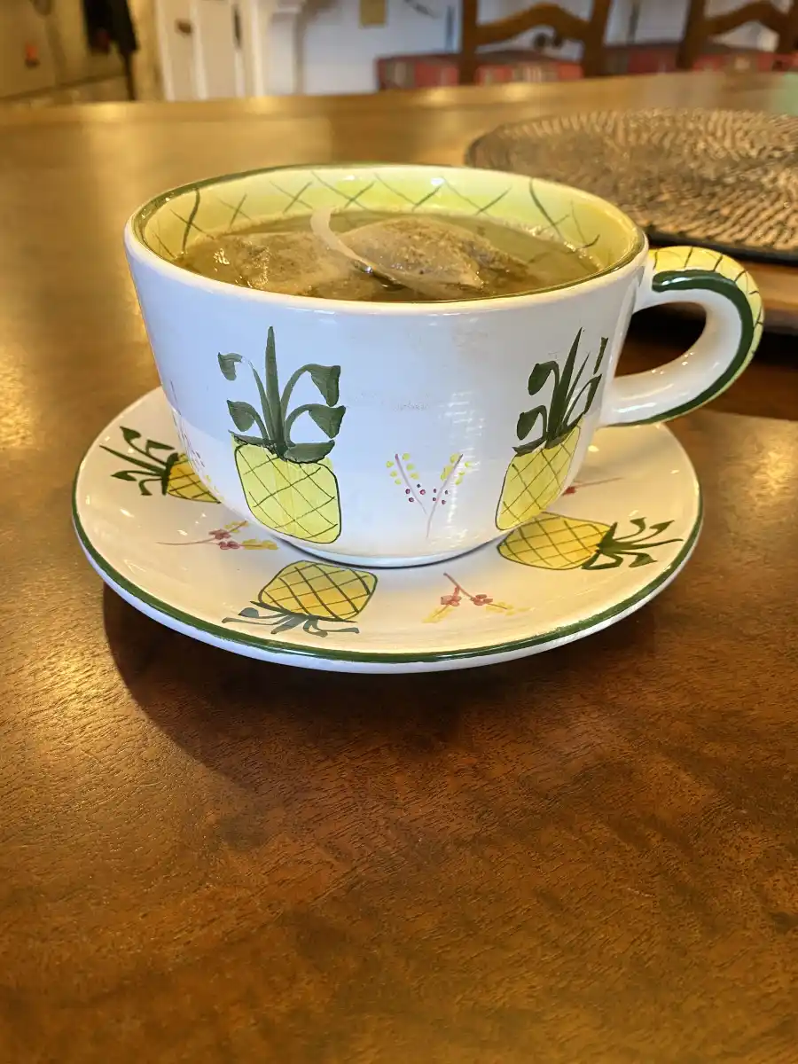 Lisa Rinna How I Spend Typical Day Quarantine During Coronavirus Outbreak