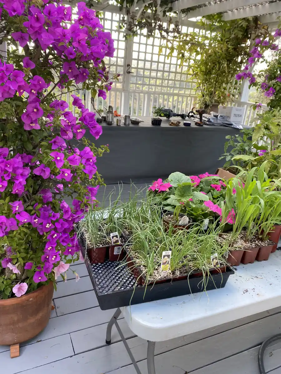 Lisa Rinna How I Spend Typical Day Quarantine During Coronavirus Outbreak