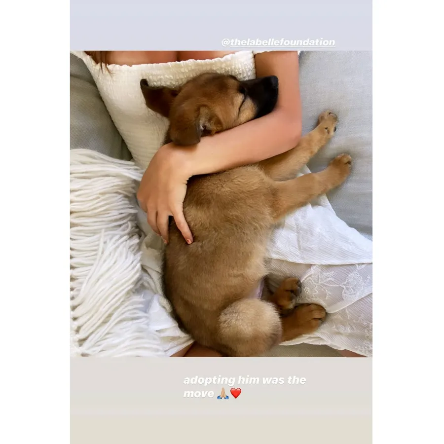 Lori Loughlin Daughters Olivia Jade Bella Step Out With New Pup