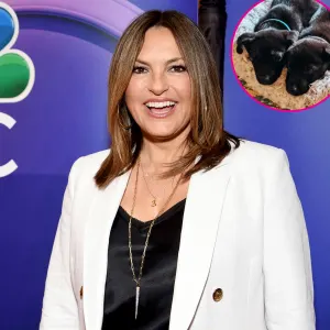 Mariska Hargitay Fosters 2 Puppies