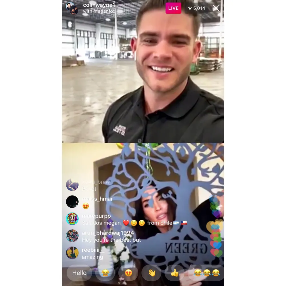 Megan Fox Shows Off the Green Family Crest After Split From Brian Austin Green